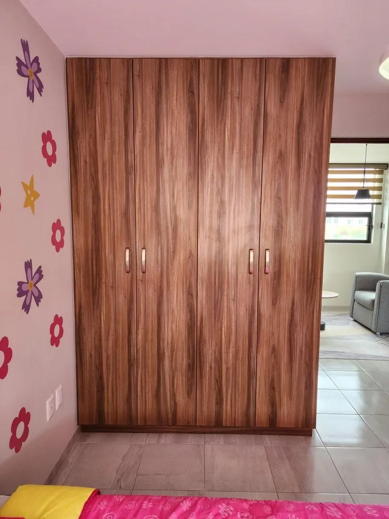 Closet a medida en San Luis Potosí